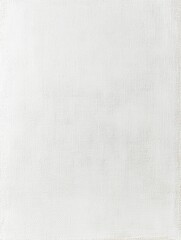 Fototapeta premium Minimalist Canvas: A clean, seamless expanse, a pristine surface ready for creative expression, capturing the essence of simplicity and endless possibility.