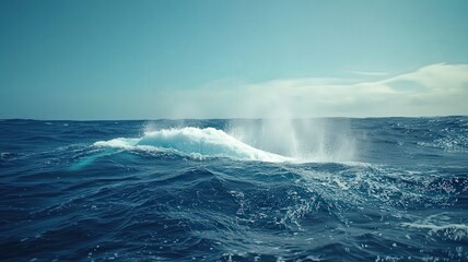 Naklejka premium Ocean Wave Crest: Blue Water Sunlight Spray