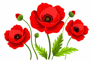 Obraz premium Red Poppy Vector Illustration on White Background - 8K High-Resolution Floral Art