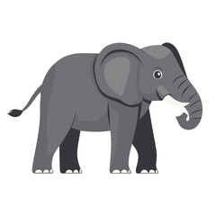 Obraz premium Elephant illustration wildlife animal vector