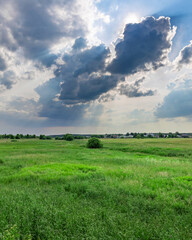 Fototapeta premium Field of grass with a cloudy sky in the background