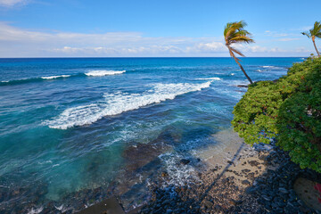 Turquoise Ocean and Blue Sky in Hawaii: Relaxing Tropical Island View with Palm Trees, Scenic Beach and Coastal Seascape