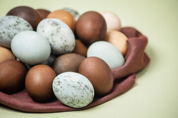 multi-colored beige-brown chicken eggs for Easter on a light green background.