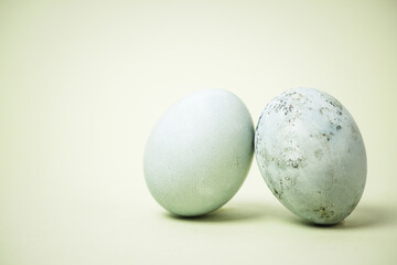gray-blue chicken eggs for Easter on a light green background.