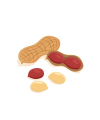 Whole and peeled peanuts isolated on white background stock illustration