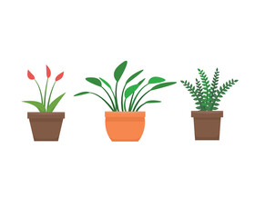 Fototapeta premium Potted plants foliage decoration interior stock illustration
