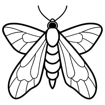 black and white moth outline clip art preview