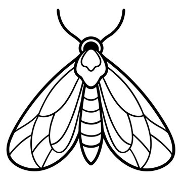black and white moth outline clip art preview