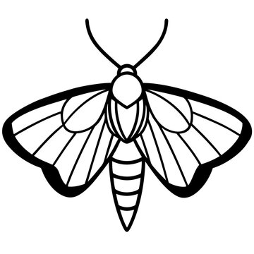 black and white moth outline clip art preview