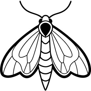 black and white moth outline clip art preview