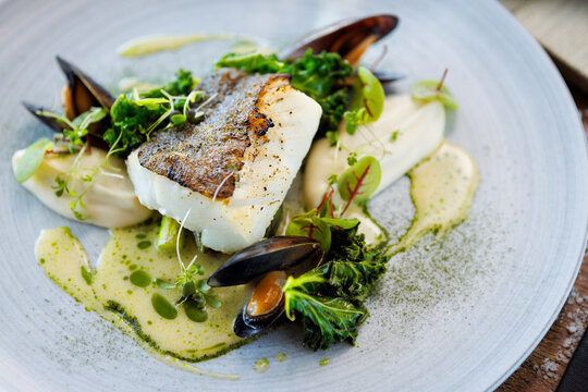 grilled salmon steak