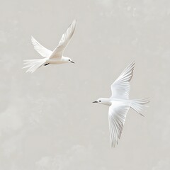 Obraz premium Birds Flying on Gray Background Banner