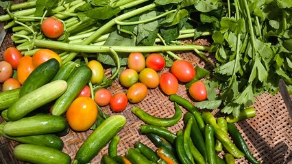 Fresh vegetables for cooking. Vegetables contain dietary fiber that helps cleanse the intestines.