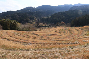 大山千枚田