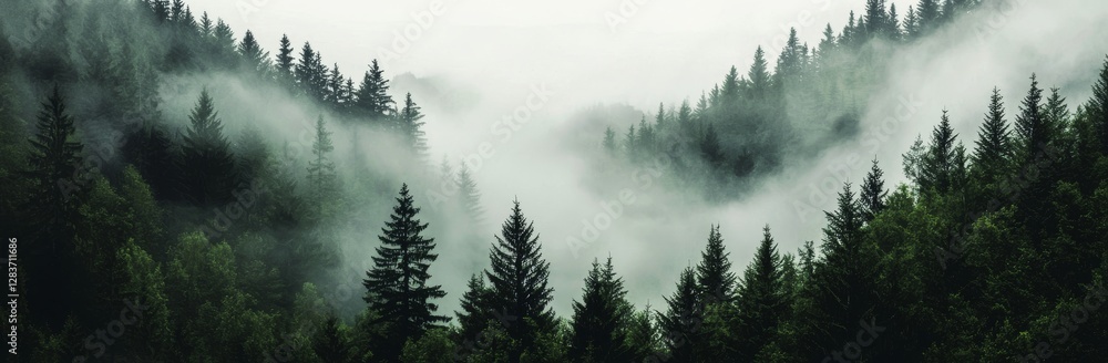 Poster the design consists of a seamless pattern with a foggy spruce forest and fir trees set against a whi