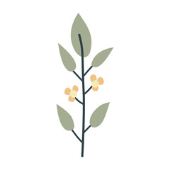 Leaves on a branch. Cute illustration, vector, color, simple.