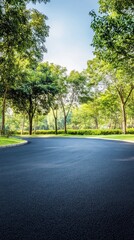 Fototapeta premium Serene Curved Pathway Through Lush Green Trees