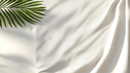 Minimalist White Background with Soft Shadow and Green Leaf