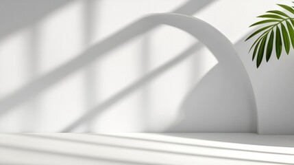 Minimalist White Background with Soft Shadows and Green Plant Accent