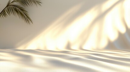 Soft Shadows on Minimalist White Background with Gentle Texture