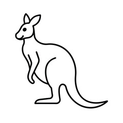 kangaroo vector illustration