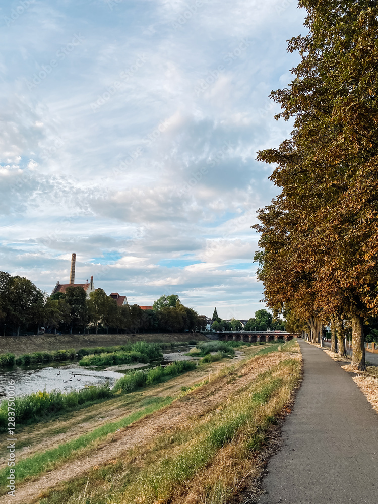 Poster path runs along a river bank with trees on either side