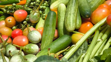 Fresh vegetables for cooking. Vegetables contain dietary fiber that helps cleanse the intestines.