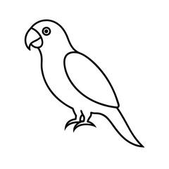 Fototapeta premium vector illustration of a bird