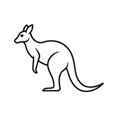 kangaroo cartoon illustration