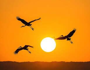Naklejka premium A black silhouette illustration of a large stork and two smaller ones in a circular formation, flying towards a large orange sun. The background is a bright yellow sky.