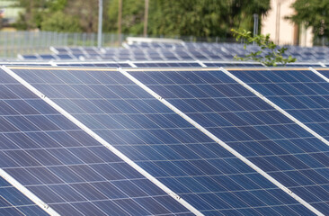 Solar Panels and Renewable Energy