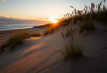Sunset at the beach with colors and dunes