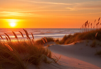 Sunset at the beach with colors and dunes