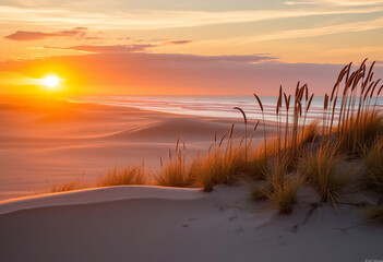 Sunset at the beach with colors and dunes