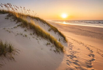 Sunset at the beach with colors and dunes