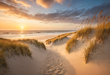 Sunset at the beach with colors and dunes