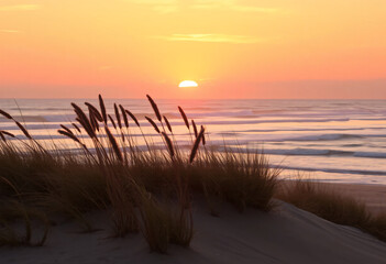 Sunset at the beach with colors and dunes