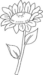 Sunflower Bloom Illustration Clipart