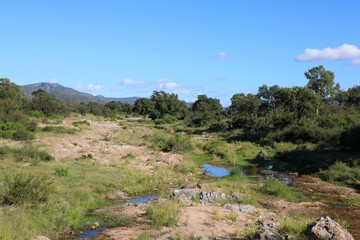 Krüger Park - Afrikanischer Busch - Matjulu River / Kruger Park - African bush - Matjulu River 