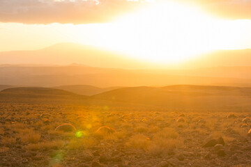 Atacama desert