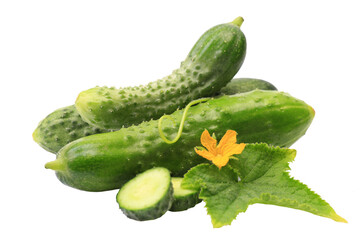 Fresh cucumber isolated