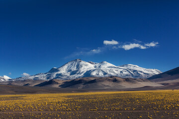 Northern Chile