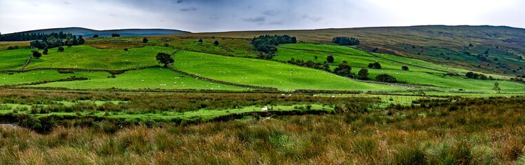 Rural Landscape With Sheep In Snowdonia National Park in North Wales, United Kingdom
