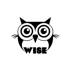 owl on white background