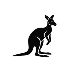 kangaroo vector illustration