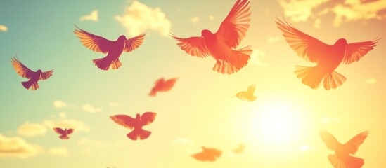 Birds flying sunset sky freedom peace hope