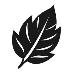 Simple Black and White Silhouette of a Leaf, vector illustration of a leaf silhouette