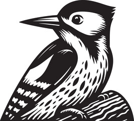 Silhouette vector of a woodpecker perched on a tree. Perfect for wildlife logos, nature designs, and branding. Available in EPS format for versatile use.