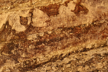 texture of a stone