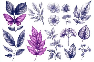 Obraz premium Botanical Illustration Purple Butterfly Flowers Leaves
